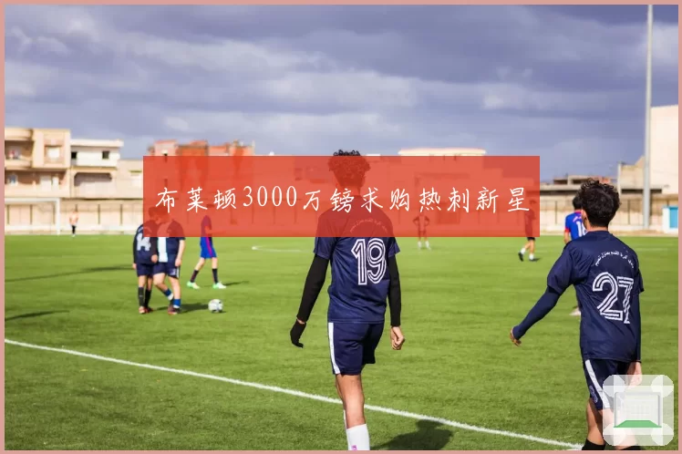 布莱顿3000万镑求购热刺新星
