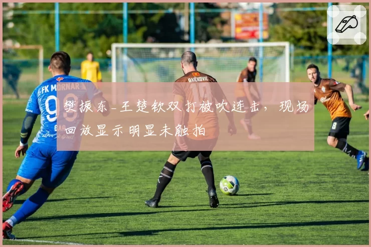 樊振东_王楚钦双打被吹连击，现场回放显示明显未触拍